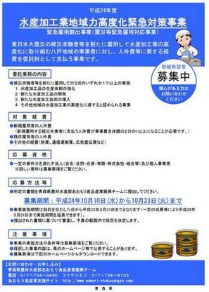 H24追加_チラシ